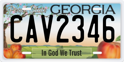 GA license plate CAV2346