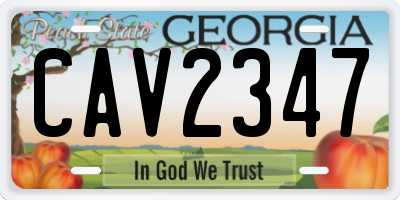GA license plate CAV2347