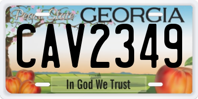 GA license plate CAV2349