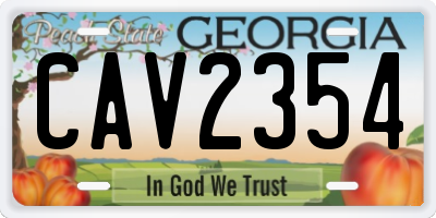 GA license plate CAV2354