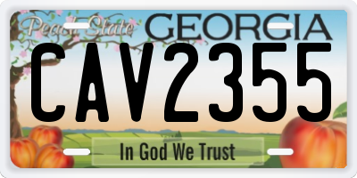 GA license plate CAV2355