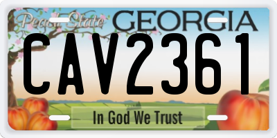 GA license plate CAV2361