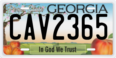 GA license plate CAV2365