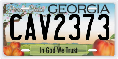 GA license plate CAV2373