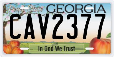 GA license plate CAV2377