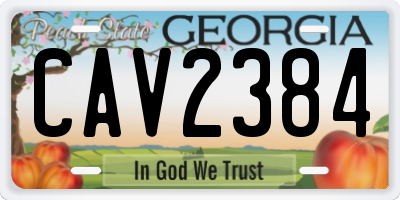 GA license plate CAV2384
