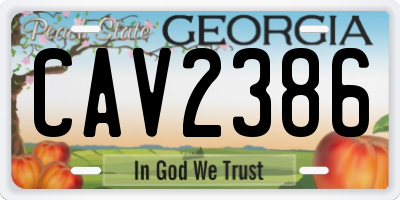 GA license plate CAV2386