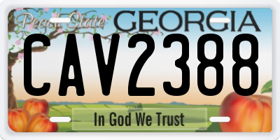 GA license plate CAV2388