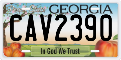 GA license plate CAV2390