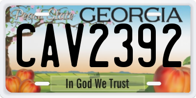GA license plate CAV2392