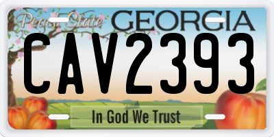 GA license plate CAV2393