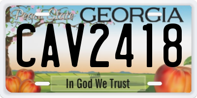 GA license plate CAV2418