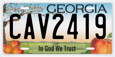 GA license plate CAV2419