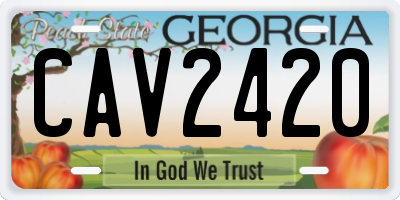 GA license plate CAV2420