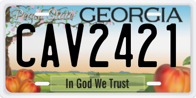 GA license plate CAV2421