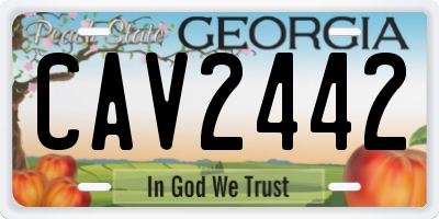 GA license plate CAV2442