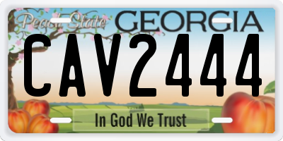 GA license plate CAV2444