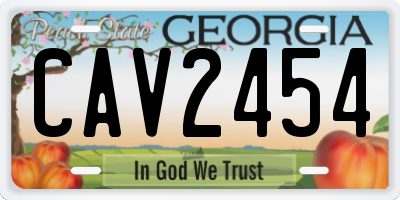 GA license plate CAV2454