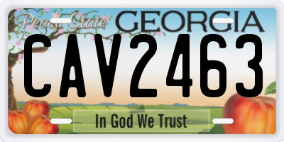 GA license plate CAV2463