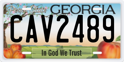 GA license plate CAV2489
