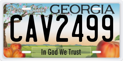 GA license plate CAV2499
