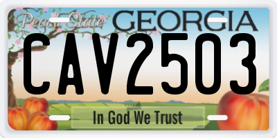 GA license plate CAV2503