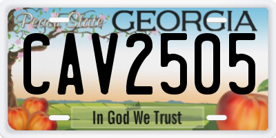 GA license plate CAV2505