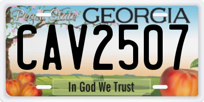 GA license plate CAV2507