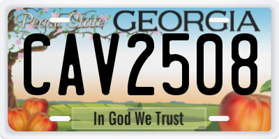 GA license plate CAV2508