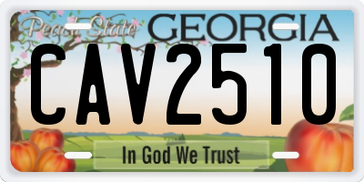 GA license plate CAV2510