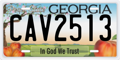 GA license plate CAV2513