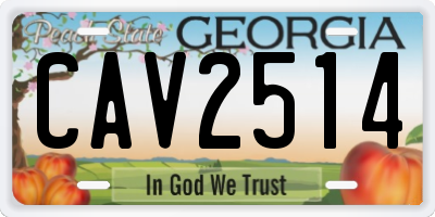 GA license plate CAV2514