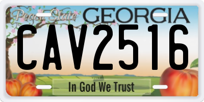 GA license plate CAV2516