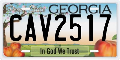 GA license plate CAV2517