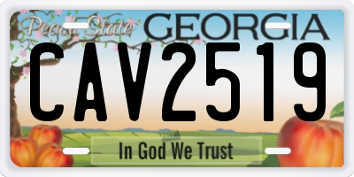 GA license plate CAV2519