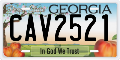 GA license plate CAV2521