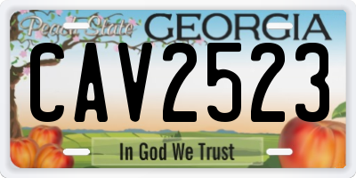 GA license plate CAV2523