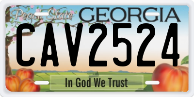 GA license plate CAV2524
