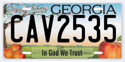 GA license plate CAV2535