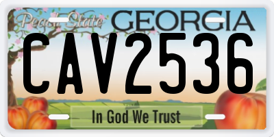 GA license plate CAV2536