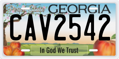 GA license plate CAV2542