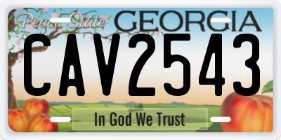 GA license plate CAV2543