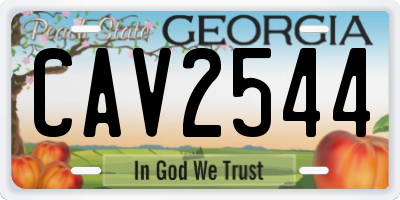 GA license plate CAV2544