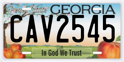 GA license plate CAV2545