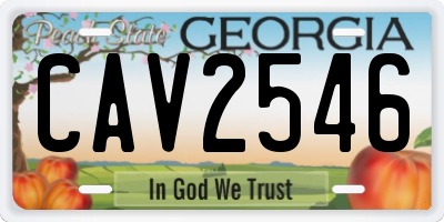 GA license plate CAV2546