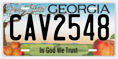 GA license plate CAV2548