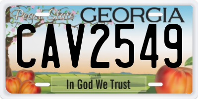 GA license plate CAV2549