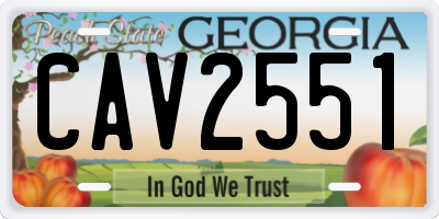 GA license plate CAV2551