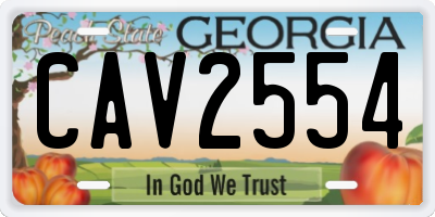 GA license plate CAV2554