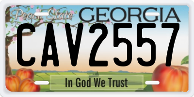 GA license plate CAV2557